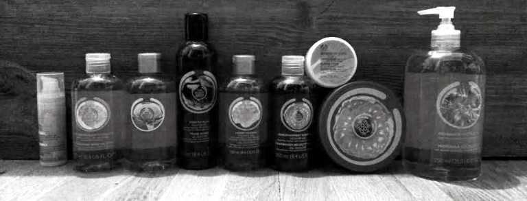 the body shop 2